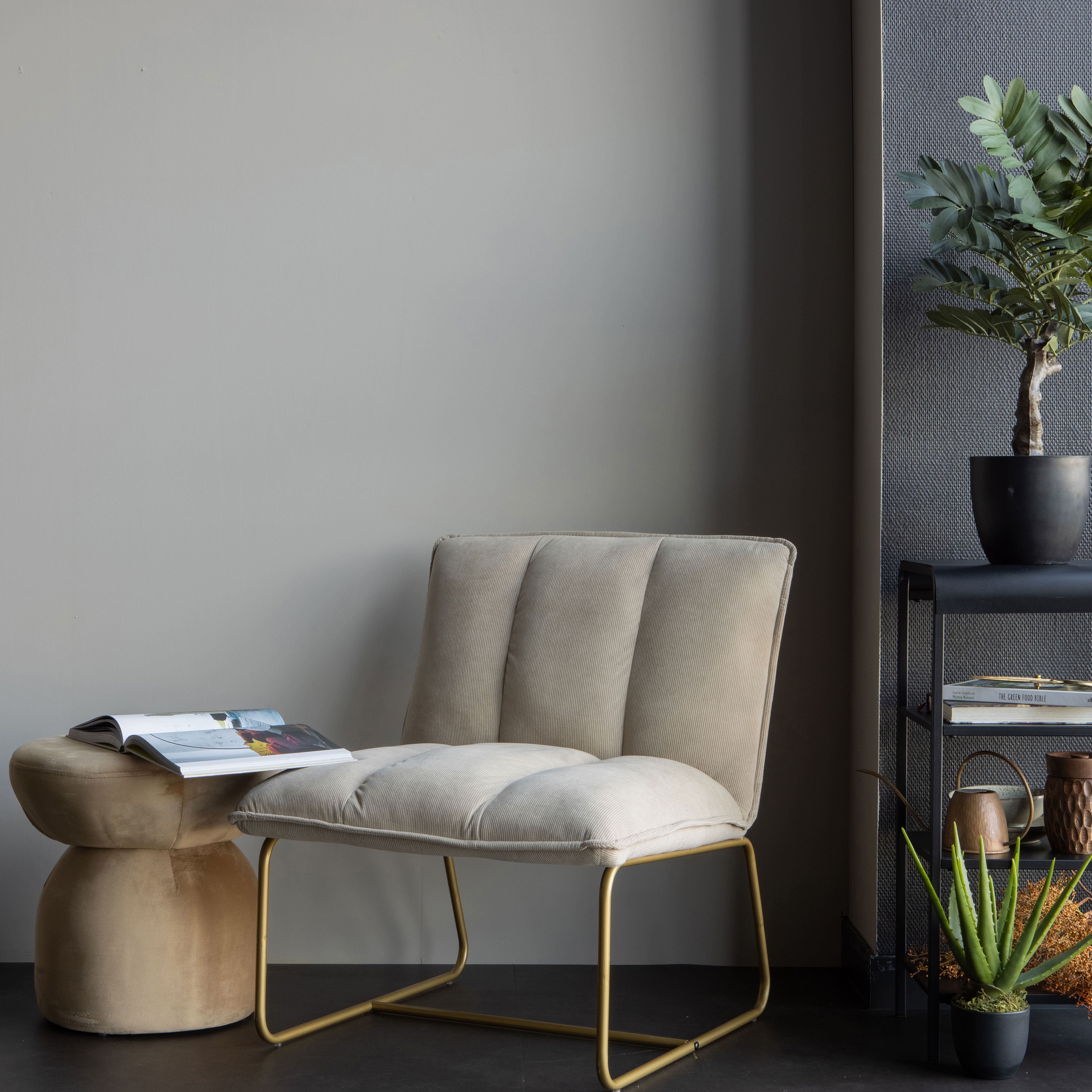 377204-Z-377234-Z-340821-B-377207-G-373816-G-01_SF_FA_Fie_fauteuil_Mirza_kastje_Bodhi_hocker_Zambia_kunstplant_Aloe_vera_VIERKANT.jpg?auto=webp&format=png&width=1500&height=1500