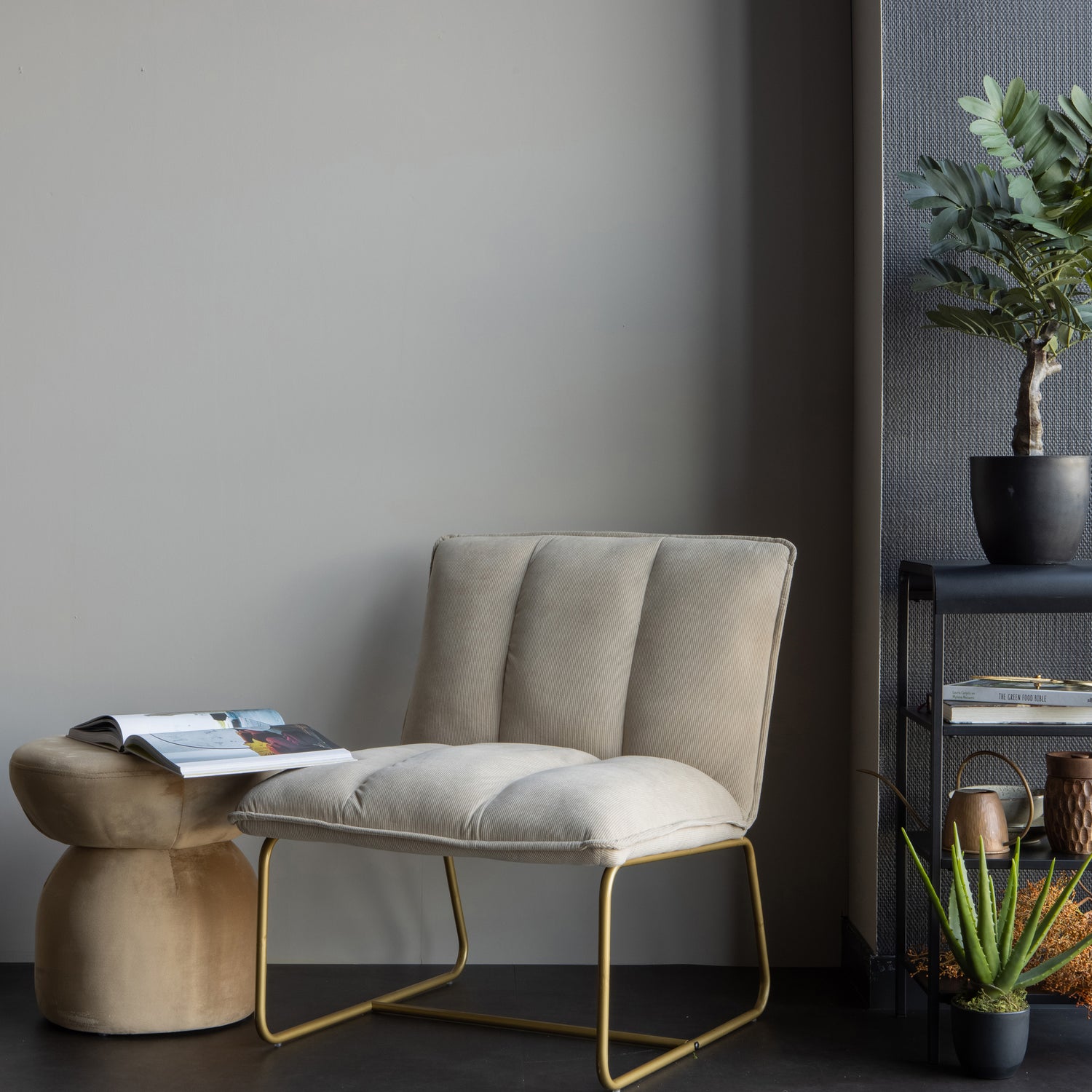 377204-Z-377234-Z-340821-B-377207-G-373816-G-01_SF_FA_Fie_fauteuil_Mirza_kastje_Bodhi_hocker_Zambia_kunstplant_Aloe_vera_VIERKANT.jpg?auto=webp&format=png&width=1500&height=1500