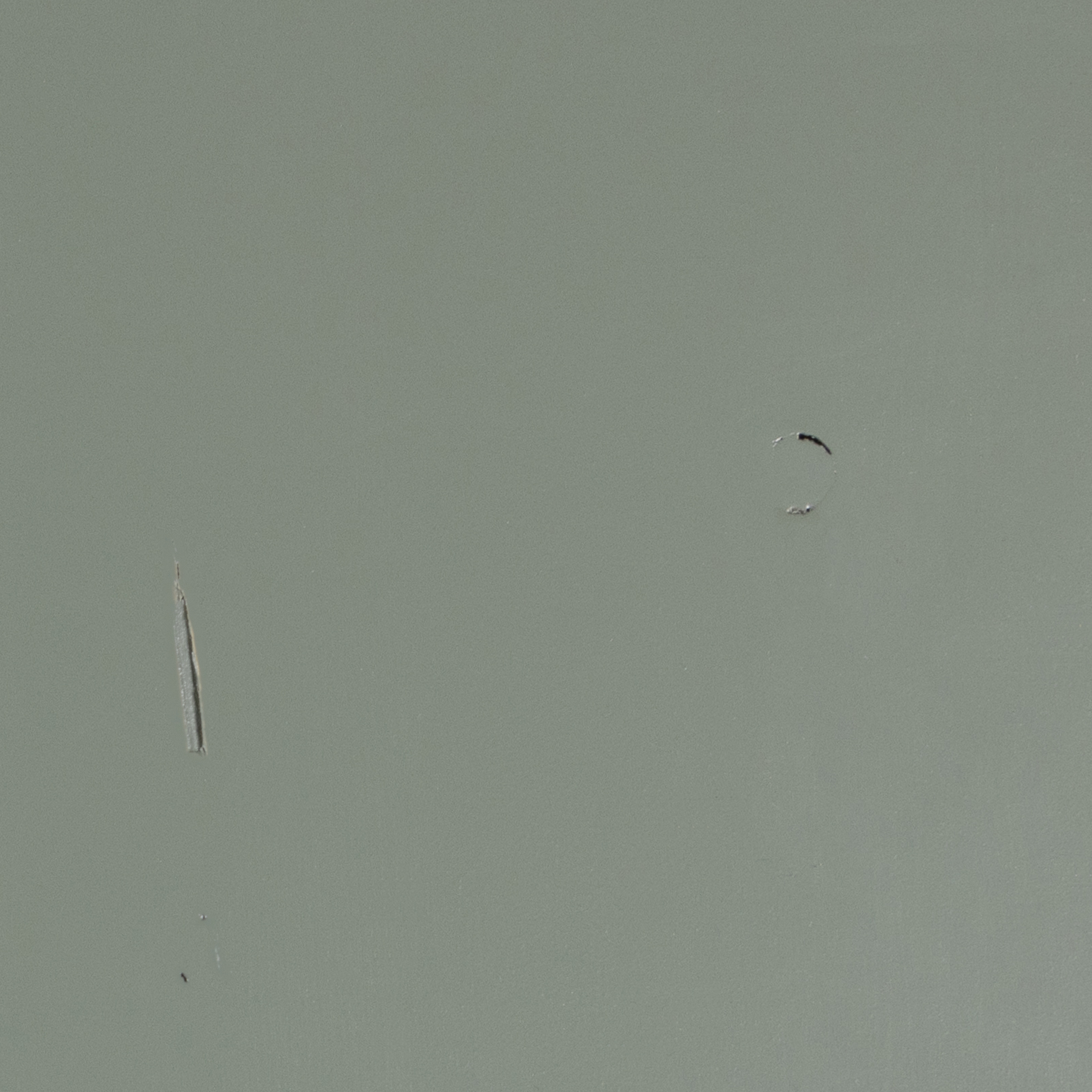 HOUT_IMPERFECTIE_Grenenhout_Soap_Geschuurd_01.jpg?auto=webp&format=png&width=1500&height=1500