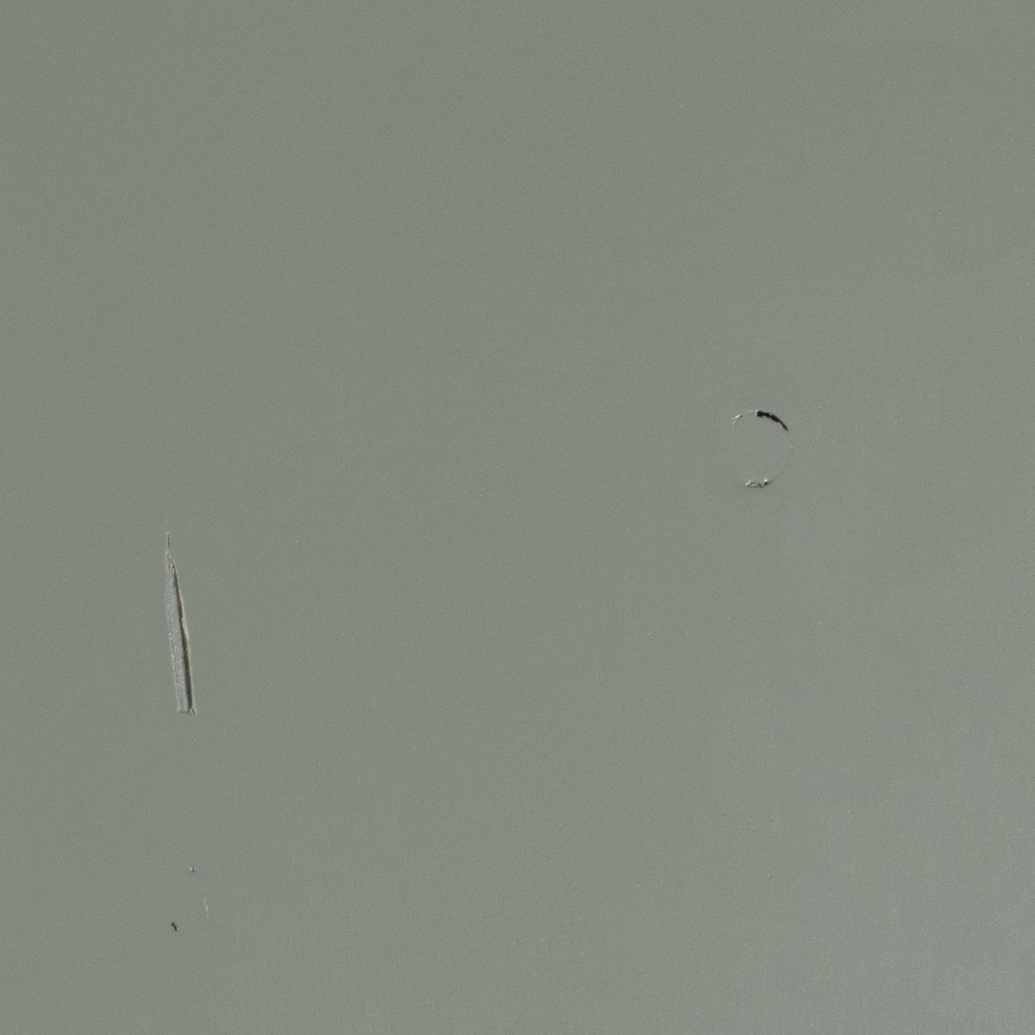 HOUT_IMPERFECTIE_Grenenhout_Soap_Geschuurd_01.jpg?auto=webp&format=png&width=1500&height=1500