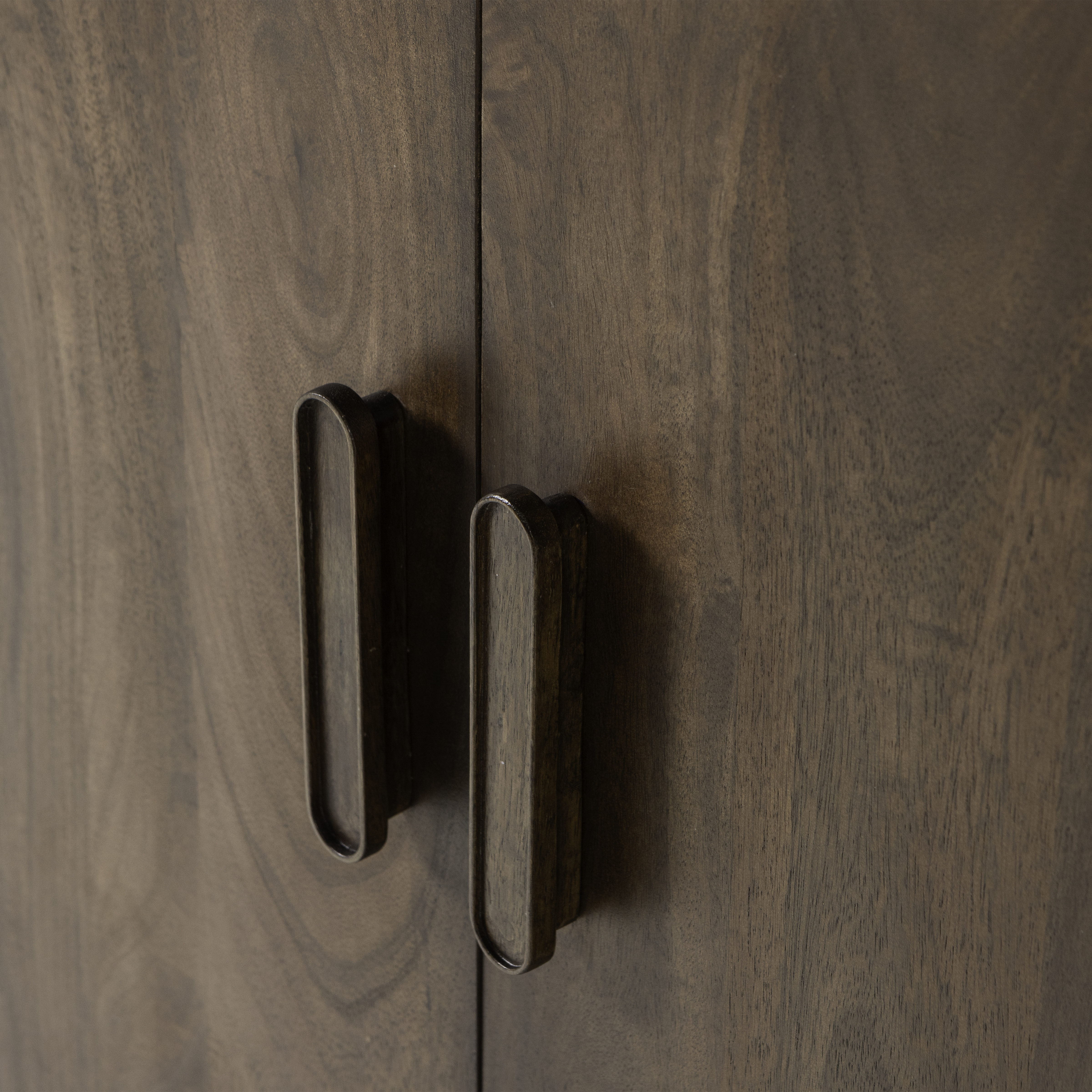 377571-B-01_VS_ES_liya_2-deurs_kast_mango_hout_donkerbruin_C2.png?auto=webp&format=png&width=1500&height=1500