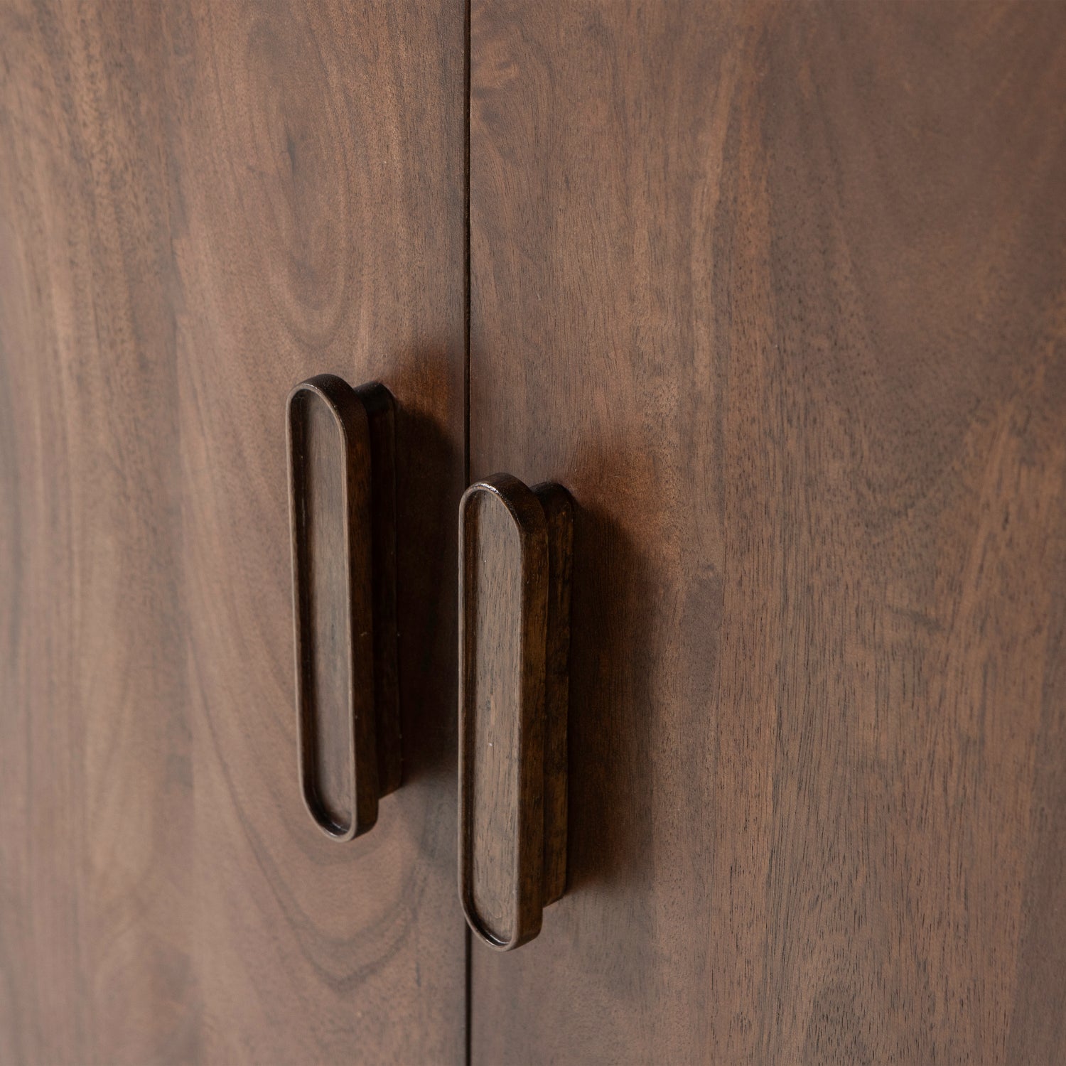 377571-B-01_VS_ES_liya_2-deurs_kast_mango_hout_donkerbruin_C2.png?auto=webp&format=png&width=1500&height=1500