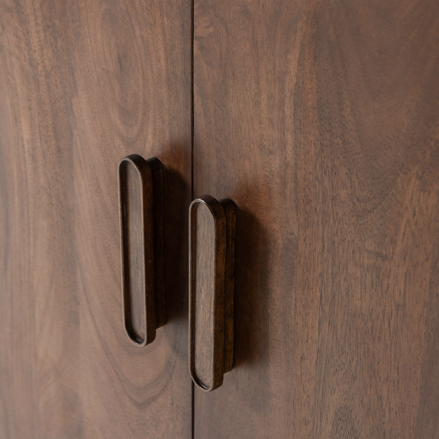 377571-B-01_VS_ES_liya_2-deurs_kast_mango_hout_donkerbruin_C2.png?auto=webp&format=png&width=1500&height=1500