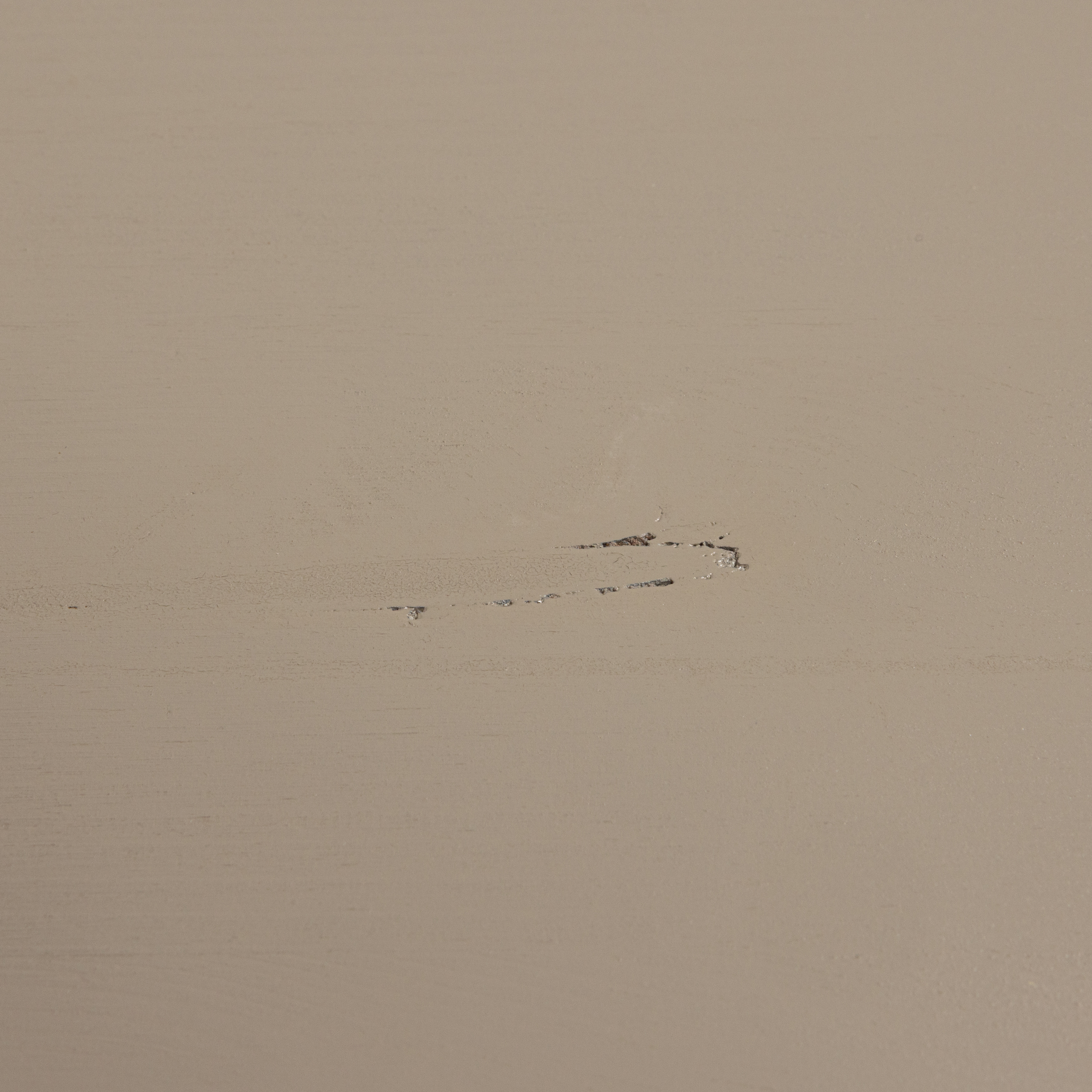 HOUT_IMPERFECTIE_Grenenhout_Dakargrau_Egaal_01.jpg?auto=webp&format=png&width=1500&height=1500