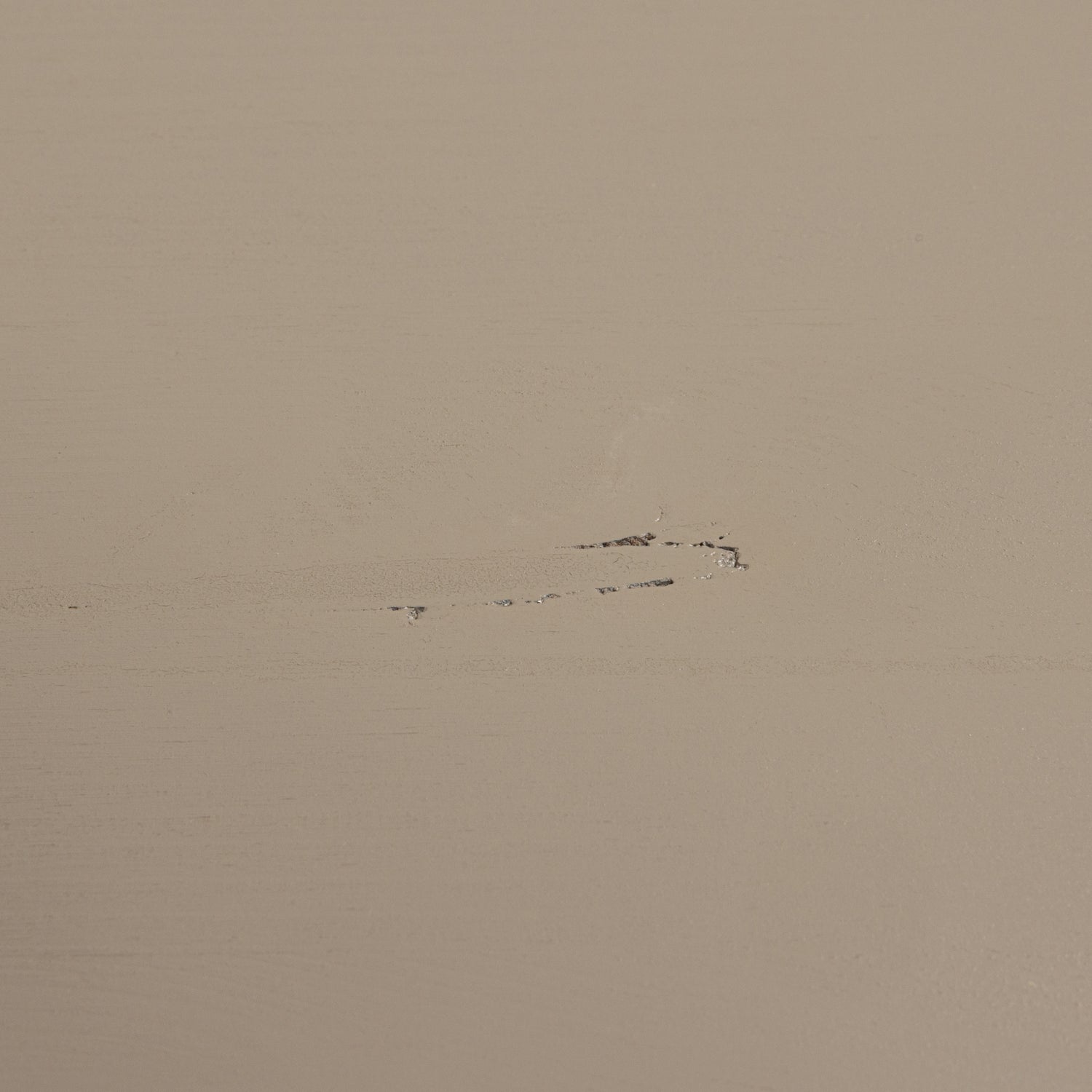 HOUT_IMPERFECTIE_Grenenhout_Dakargrau_Egaal_01.jpg?auto=webp&format=png&width=1500&height=1500