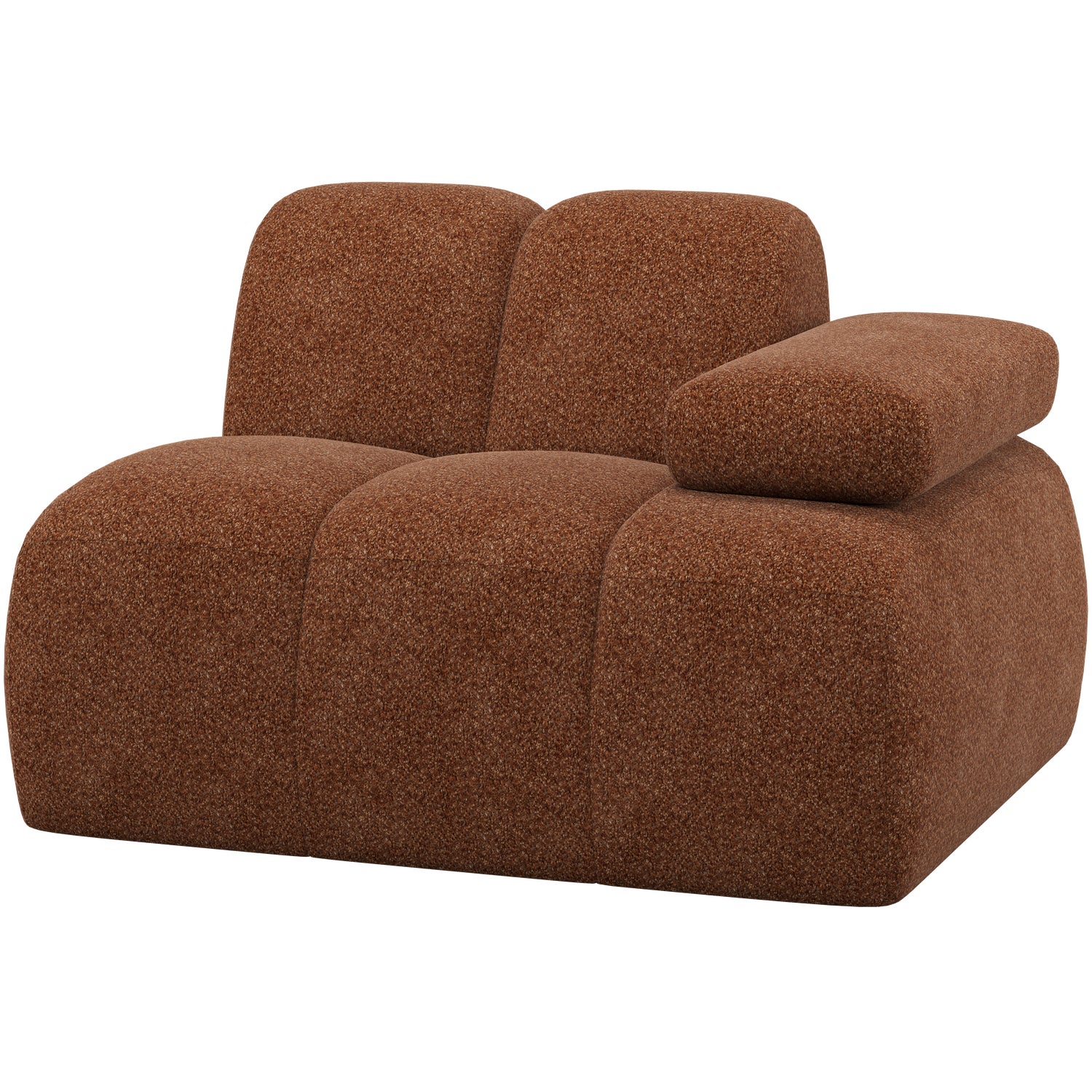 377453-WR-01_VS_WP_Mojo_element_arm_rechts_wollig_roestbruin_F1.png?auto=webp&format=png&width=1500&height=1500