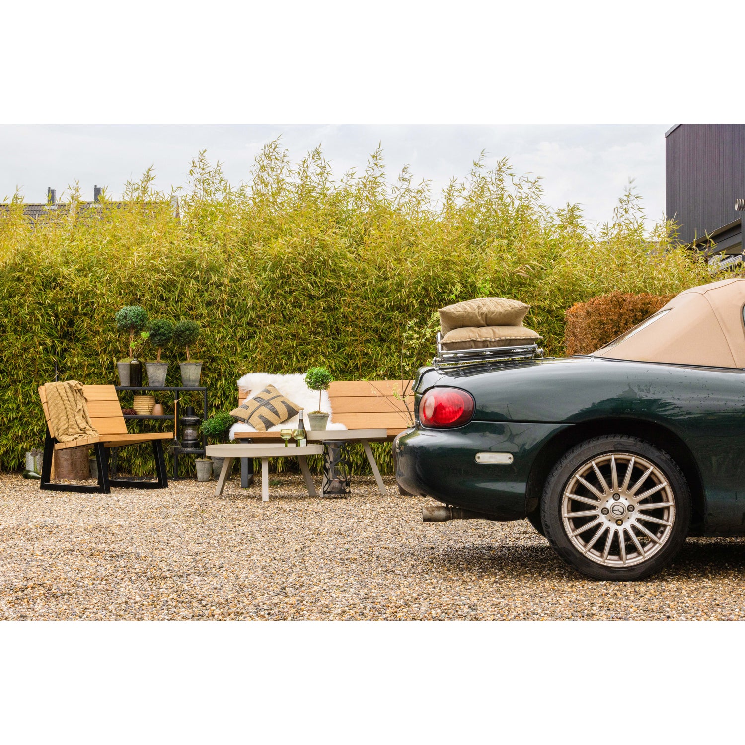 373475-N-373476-N-340481-M-340482-M-373504-Z-377188-Z-01_SF_FA_Banco_Sunny_Febe_Jago_banner.jpg?auto=webp&format=png&width=1500&height=1500