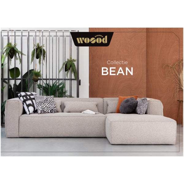 Image of BROCHURE WOOOD EXCL BEAN 2023