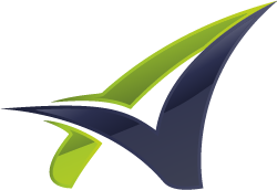 Accienta Insights