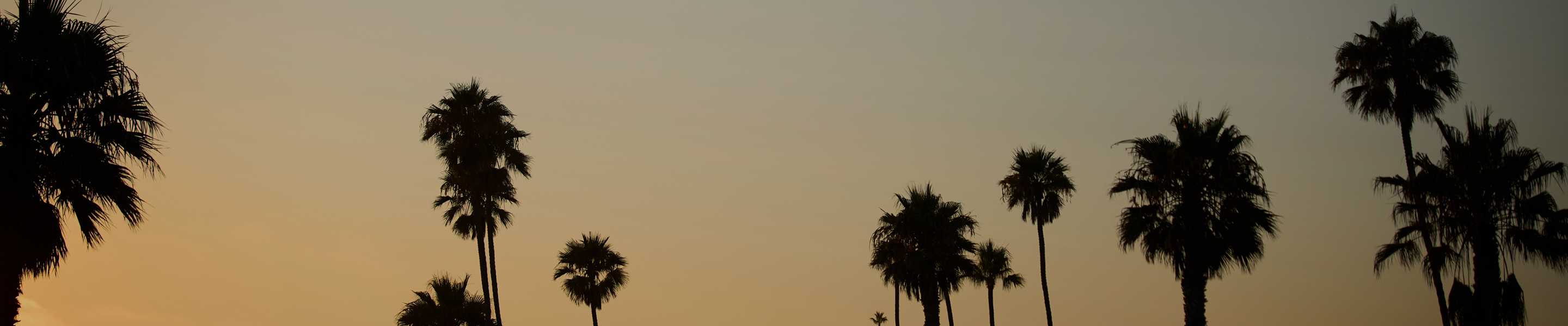 20% Off Your First Purchase