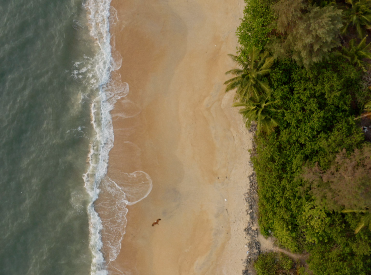 Honored to Amplify: CleanHub’s Mission–Eliminating Plastic Pollution In Coastal Communities