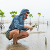 robin vieira planting mangrove trees