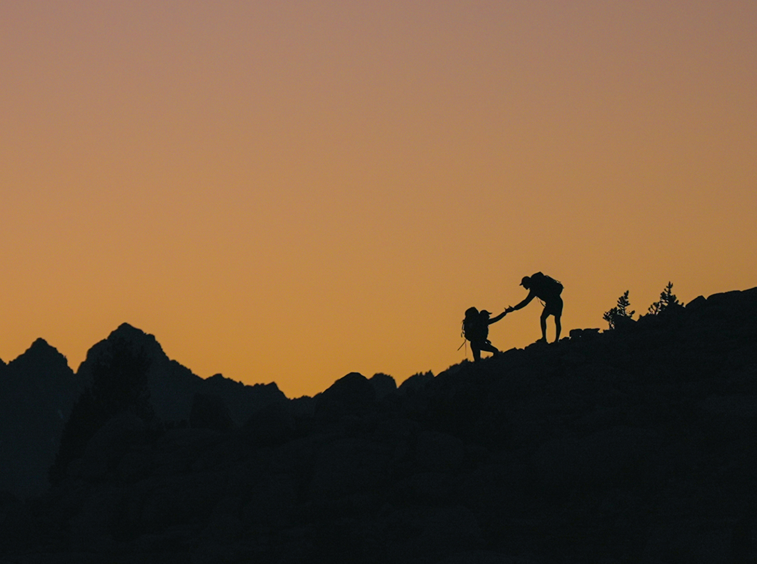 Giving Tuesday Spotlight: Foster The Earth