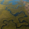 aerial image of mangroves