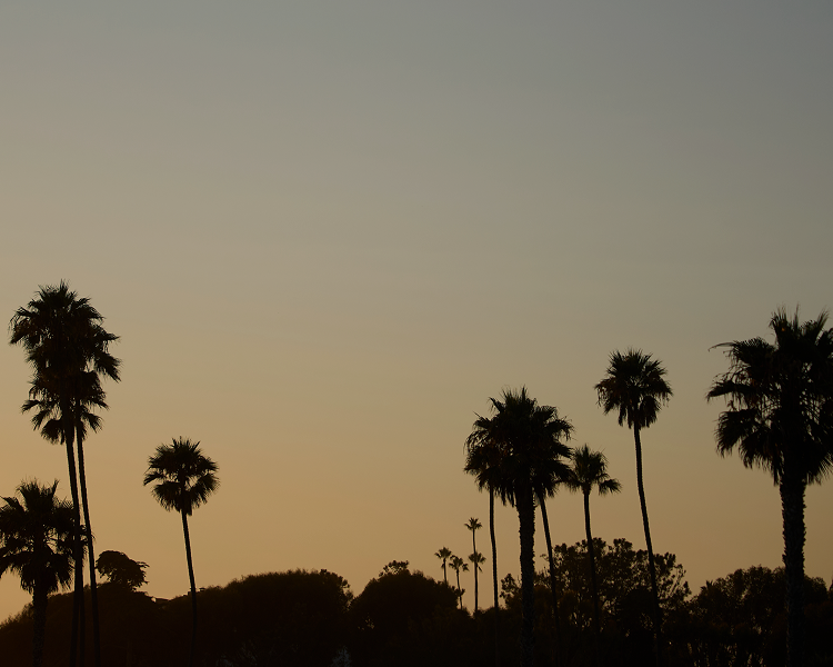 20% Off Your First Purchase