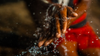 close up of hand washing