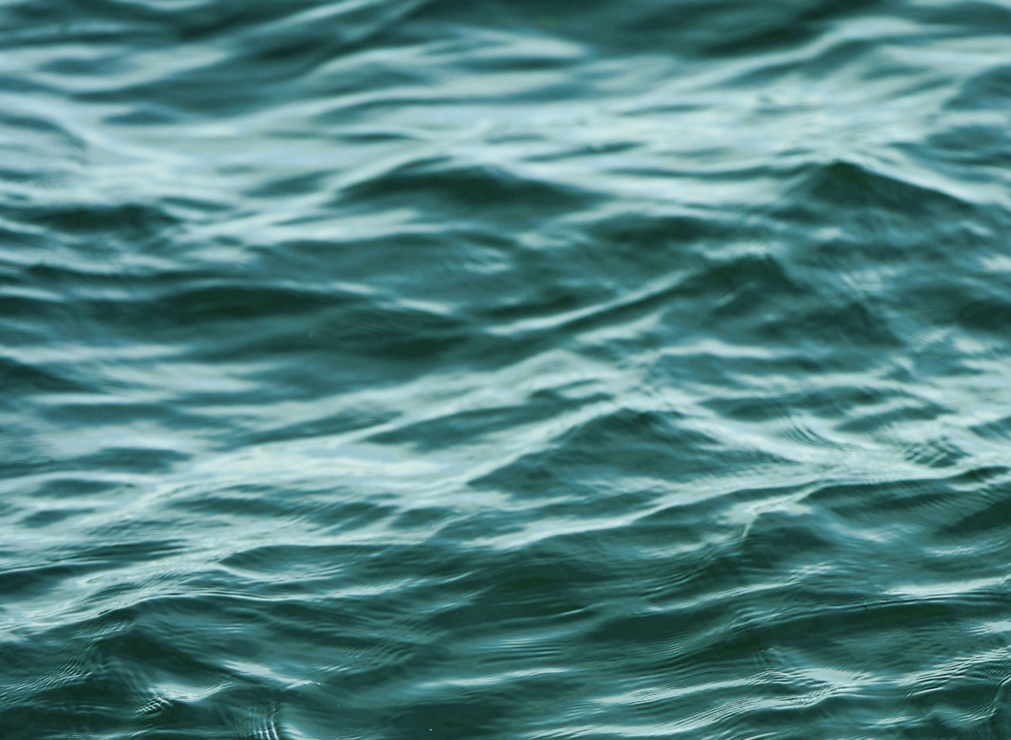 post-purchase-recommendations