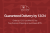 Get Your Gifts by 12/24 — Guaranteed. Order by 12/21 (9PM PST) for FREE Express Shipping on purchases $75+
