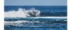 alana blanchard surfing