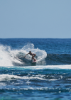 alana blanchard surfing
