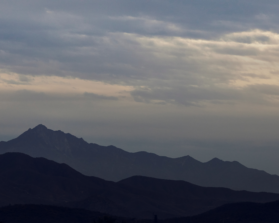 20% Off Your First Purchase