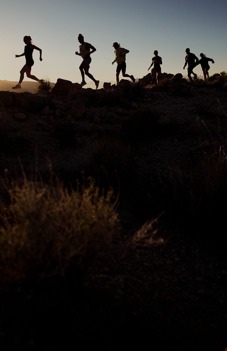 people running at sunset