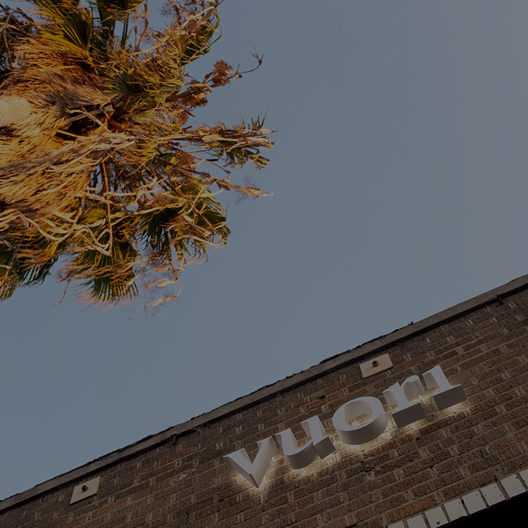 vuori store with palm tree
