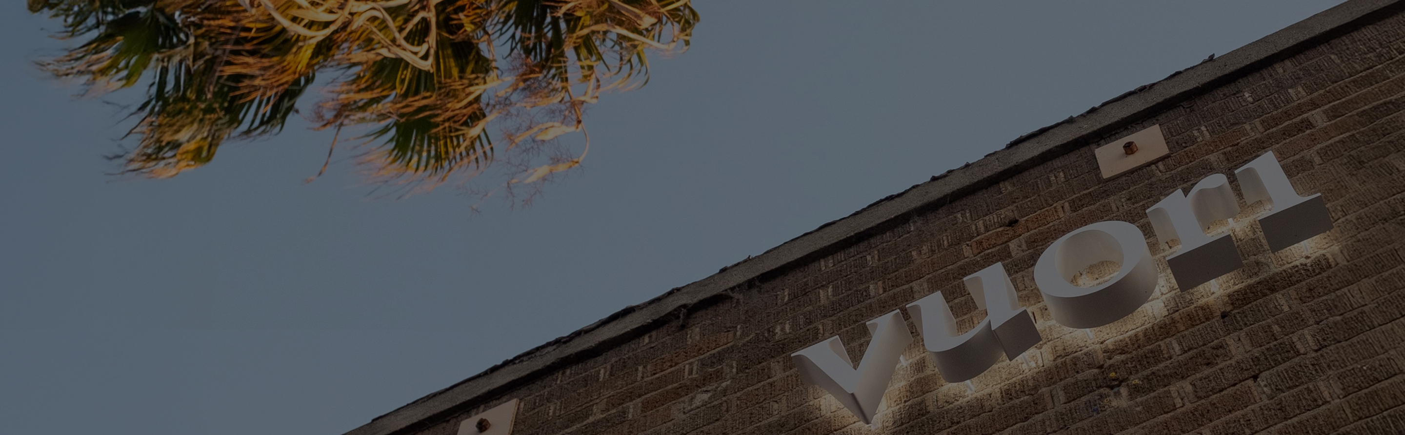 vuori store with palm tree