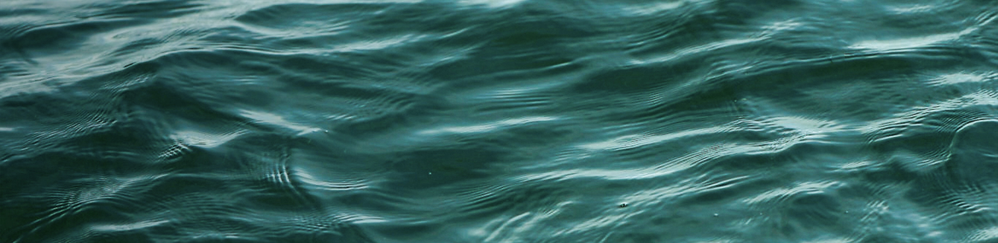 post-purchase-recommendations-hero