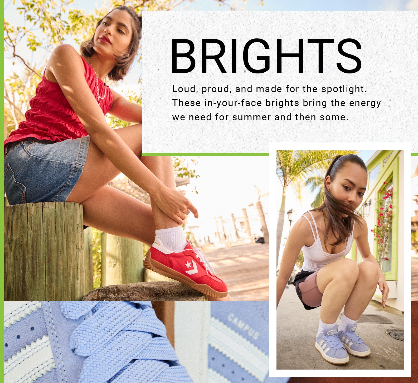 Brights