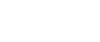 Icon Download