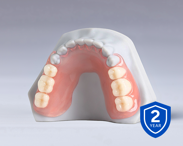 Upper partial denture model with pink acrylic base displayed with a 2-year warranty badge.
