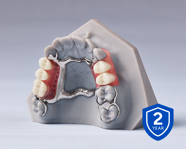 Partial denture model with metal framework and acrylic base displayed with a 2-year warranty badge.