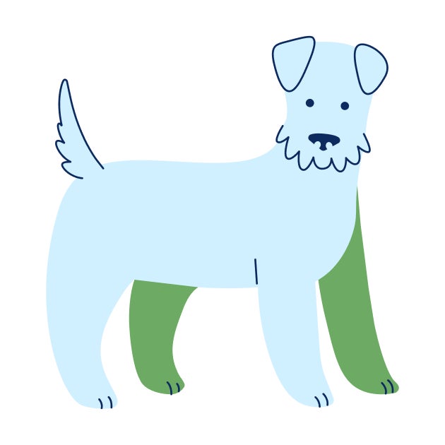 Illustration of an adult dog representing ongoing annual vaccines and preventive care at 12 months and older.