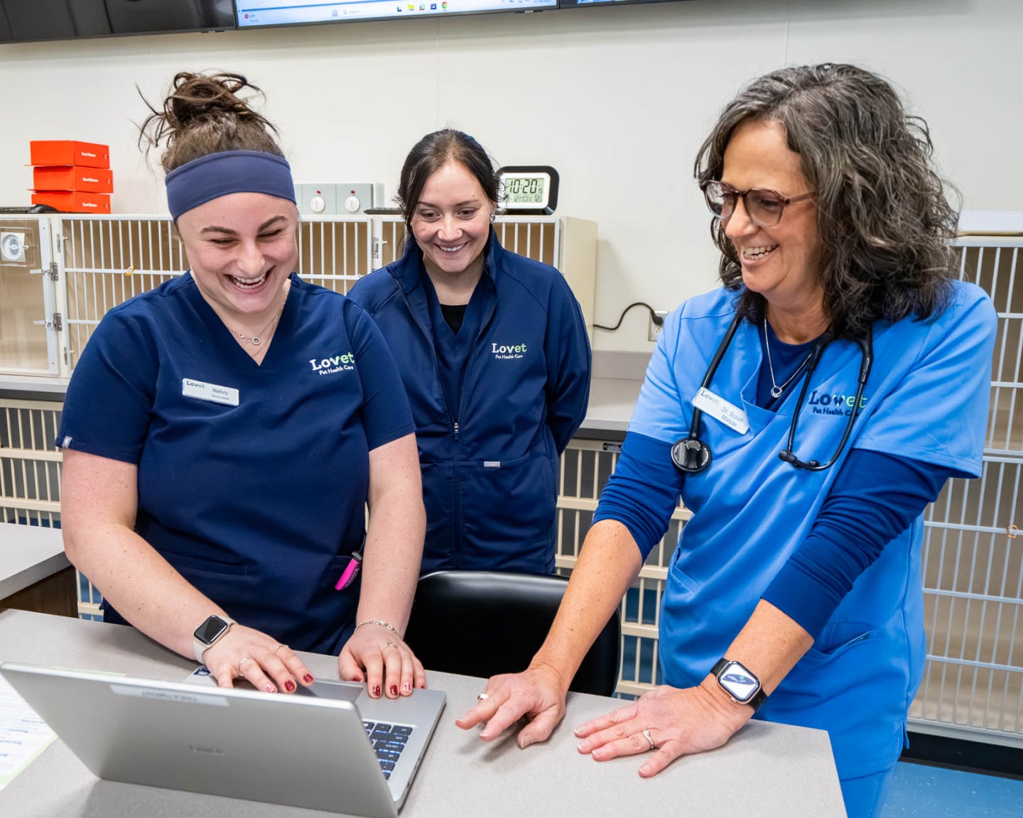 Lovet veterinary team members reviewing information together on a laptop in the clinic, demonstrating collaborative advanced veterinary services and patient care.
