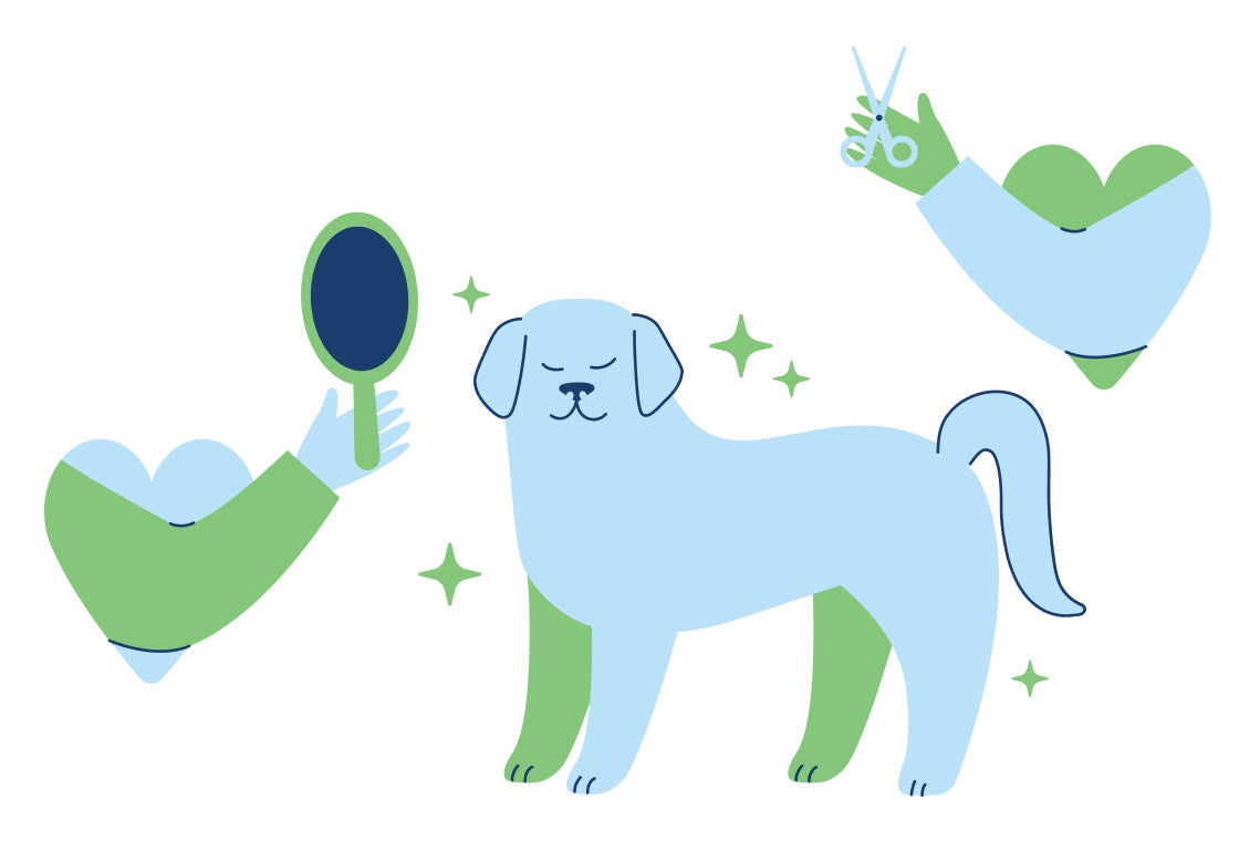 Illustration of a dog surrounded by grooming icons, including a brush and scissors, representing professional pet grooming services at Lovet.