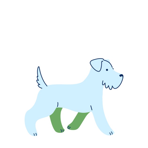 Illustration of a growing puppy representing the 10–12 week booster vaccine stage.