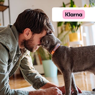 Klarna graphic with man head to head with gray cat.