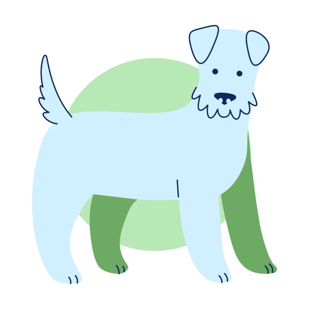 Illustration of an adult dog  representing ongoing annual vaccines and preventive care at 12 months and older.