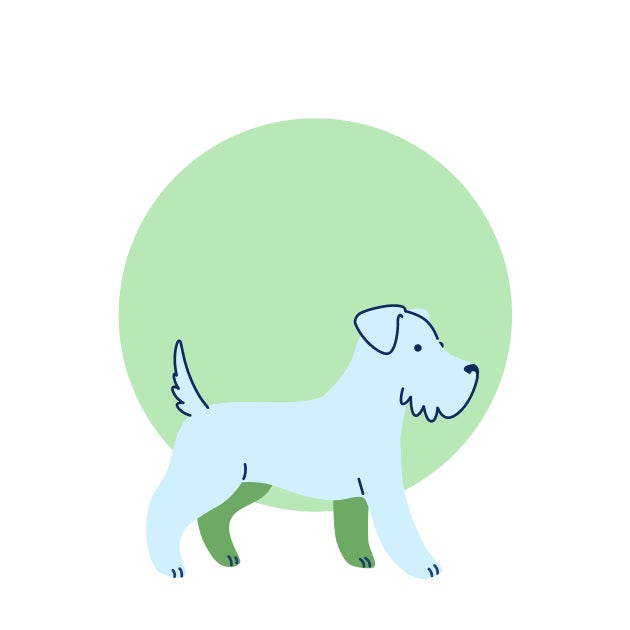 Illustration of a young puppy representing early growth and initial vaccination timing at 6–8 weeks.