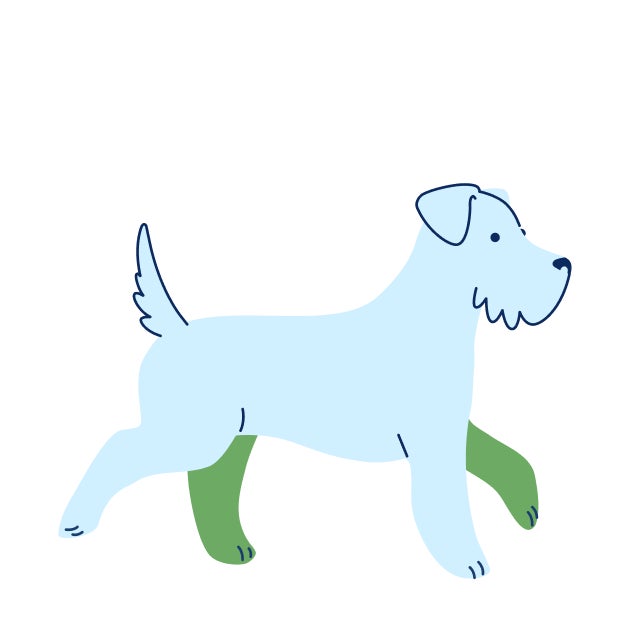 Illustration of an older puppy representing the 16–18 week vaccination milestone.