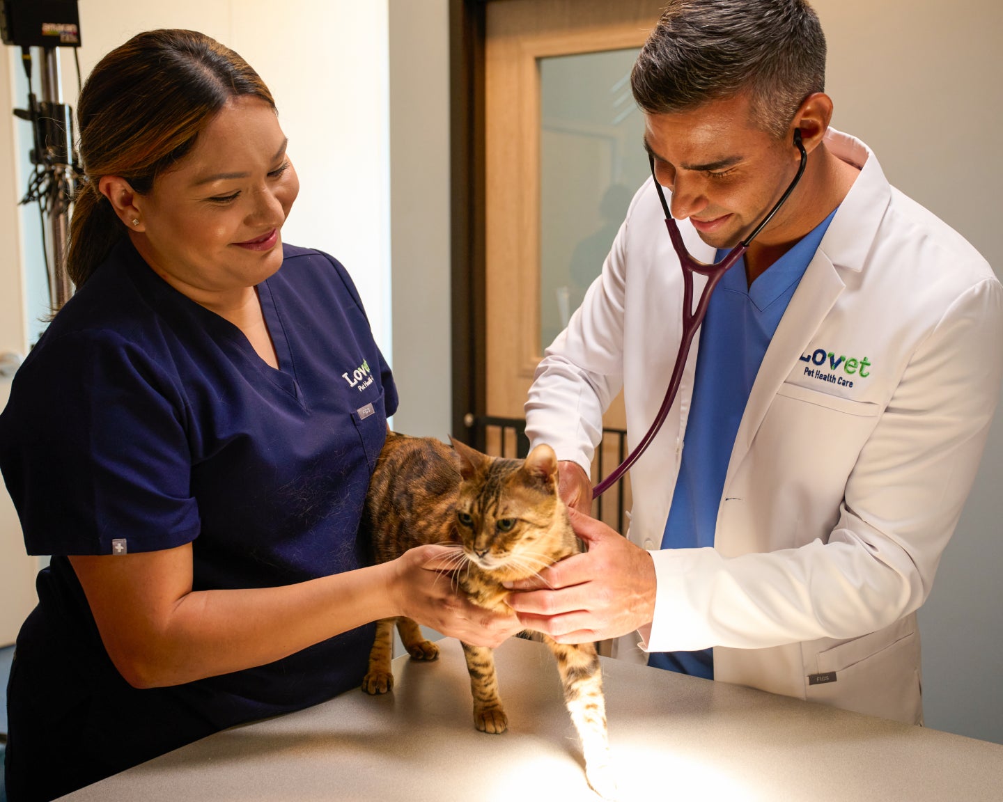 Lovet veterinarian and vet tech holding cat on exam table.
