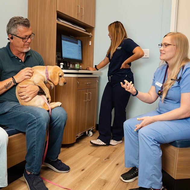A Lovet veterinarian in blue scrubs discussing care with a pet owner holding a puppy in an exam room, while a veterinary technician works at a computer in the background.