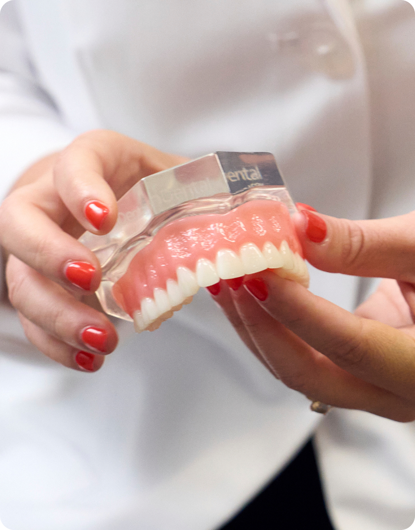 Custom Dentures, Repairs and Relines in Palm Harbor, FL