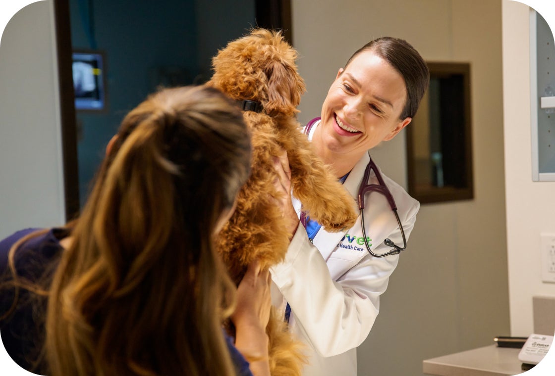 A Lovet veterinarian smiling while holding a small dog during a hospital visit with its owner.