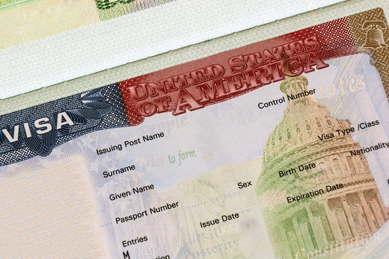 Visual of a United States of America Visa.