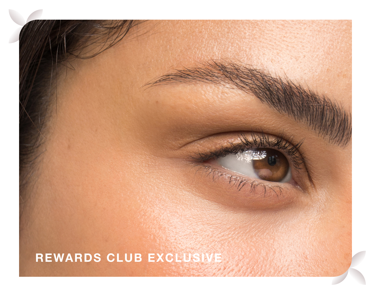 An eye-catching rewards club exclusive