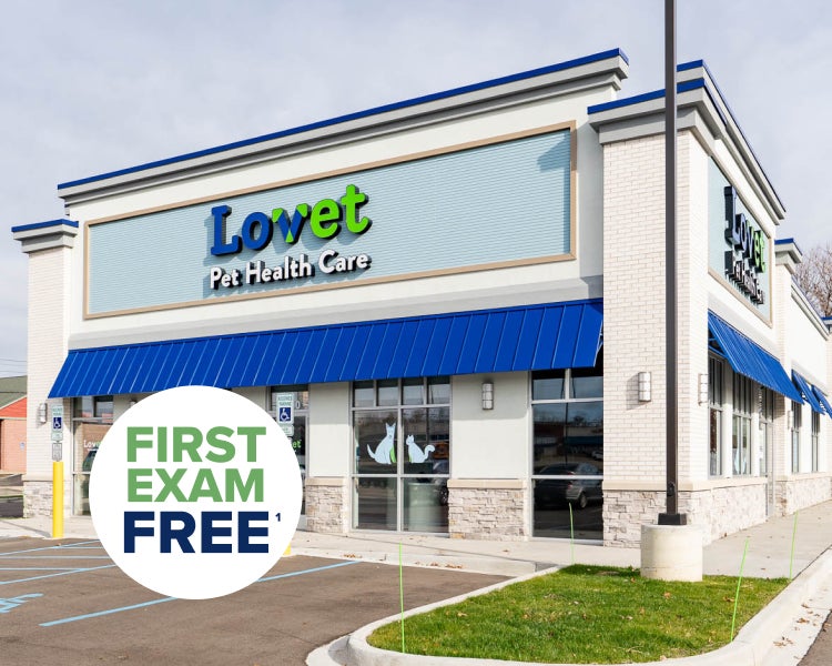 A picture of the outside Lovet hospital in Grand Rapids off Alpine Ave, with a sticker indicating the first exam free promotion.