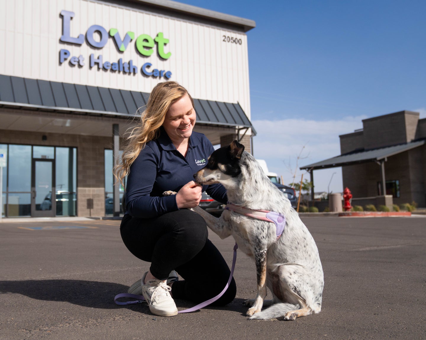  Lovet employee giving dog a treat outside of a Lovet Hospital.