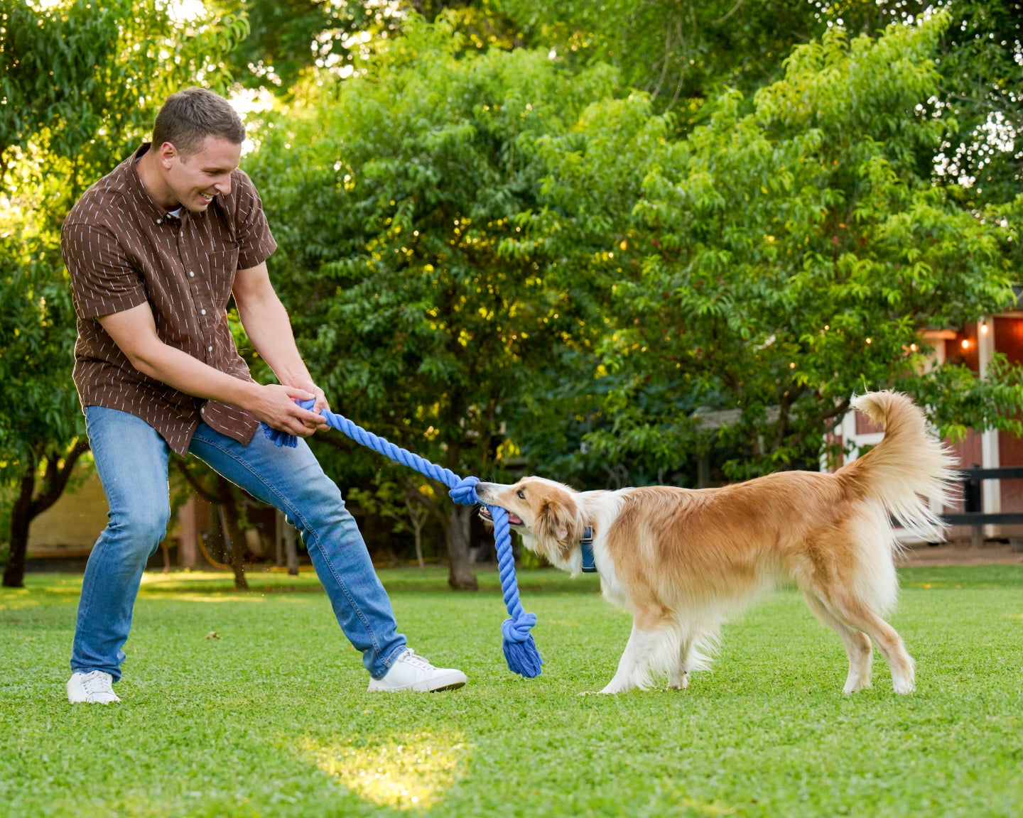 Man playing tug-of-war with a dog in a grassy park, highlighting healthy pet teeth and active play that supports dog dental care during National Pet Dental Health Month.